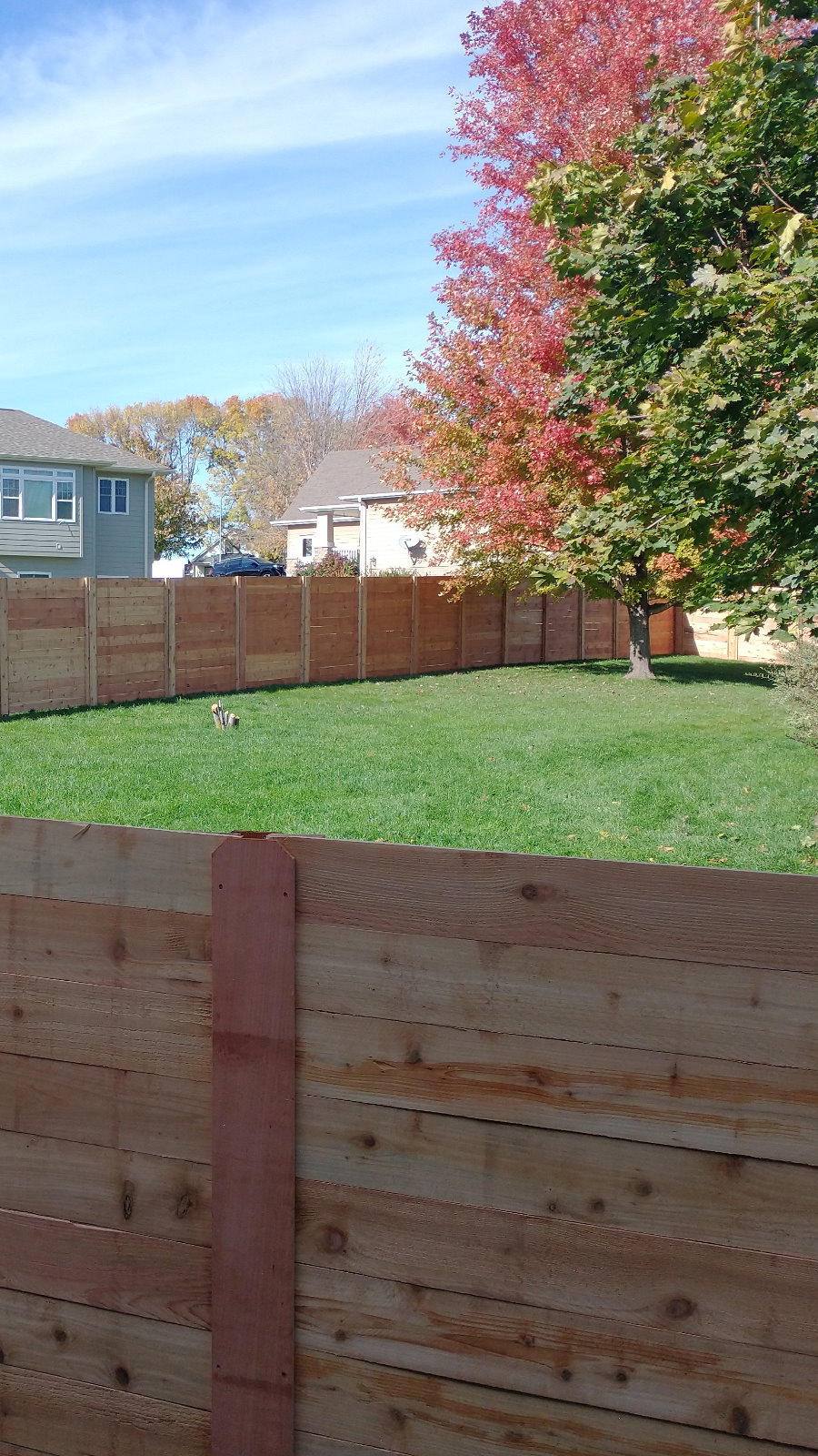 Wood fence styles that are popular in Blair NE