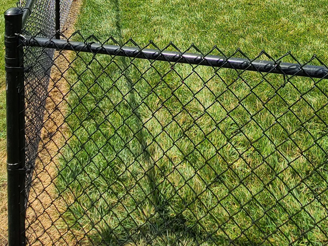 Elkhorn NE Chain Link Fences